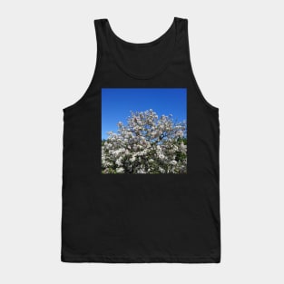 White apple blossom, blue sky Tank Top